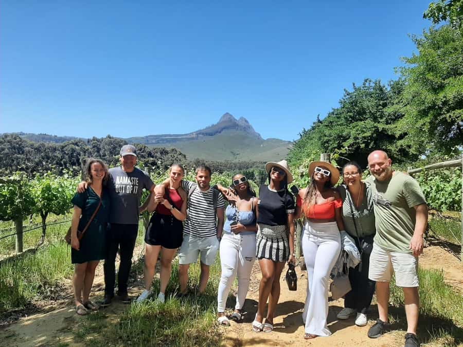 From Cape Town: Stellenbosch Four Estate Full-Day Wine Tour - What happens at the wine estates
