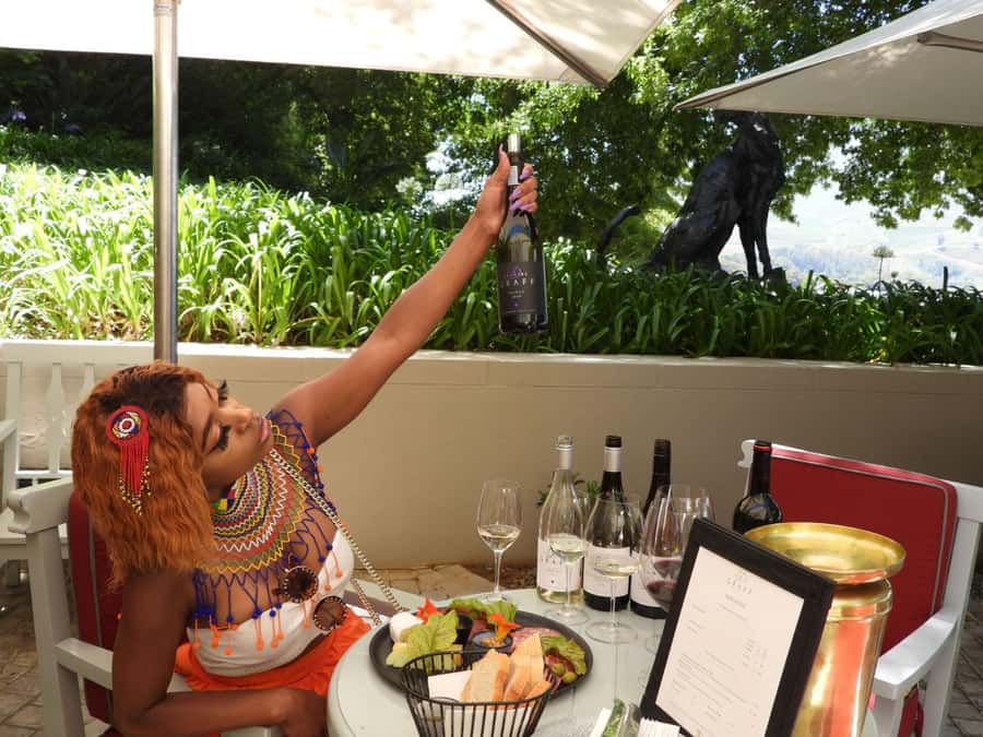 From Cape Town: Stellenbosch & Franschhoek Wine Tasting Tour - Delheim for family character and lunch