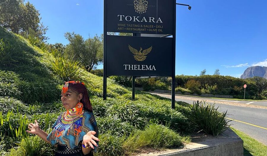 From Cape Town: Stellenbosch & Franschhoek Wine Tasting Tour - Is the $277 price good value?