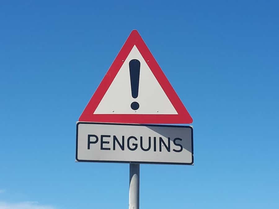 From Cape Town: Table Mountain and Cape of Good Hope Tour - Cape Point and the lighthouse choice
