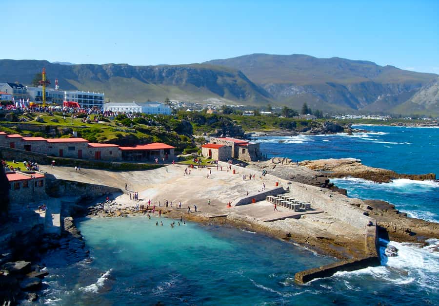 From Cape Town: Whale Watching Tour in Hermanus and Gansbaai - Key points at a glance