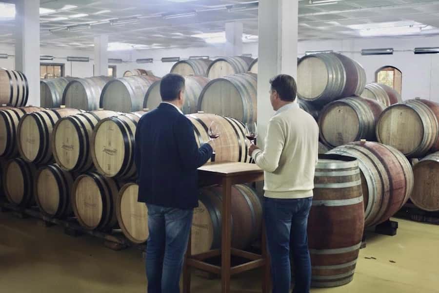 From Cape Town: Winelands Full Day Tour and Wine Tasting - Guides make or break the day