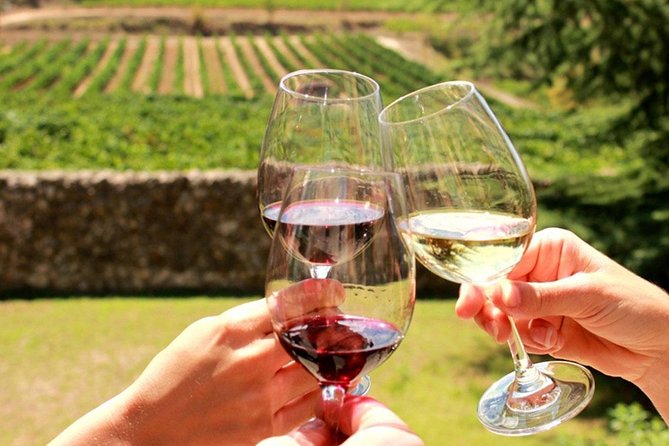 From CapeTown: Stellenbosch Half Day Wine Tour - What this Stellenbosch tour actually gives you