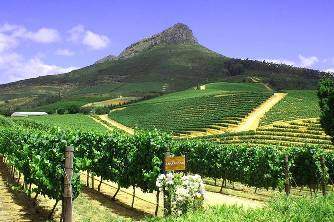 From CapeTown: Stellenbosch Half Day Wine Tour - How much time do you really get?