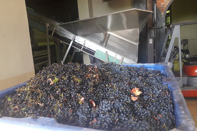 From CapeTown: Stellenbosch Half Day Wine Tour - The second farm and South African biltong