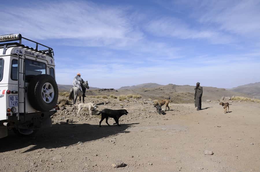 From Durban: Sani Pass and Lesotho by 4WD Vehicle - The guide can make or break the day