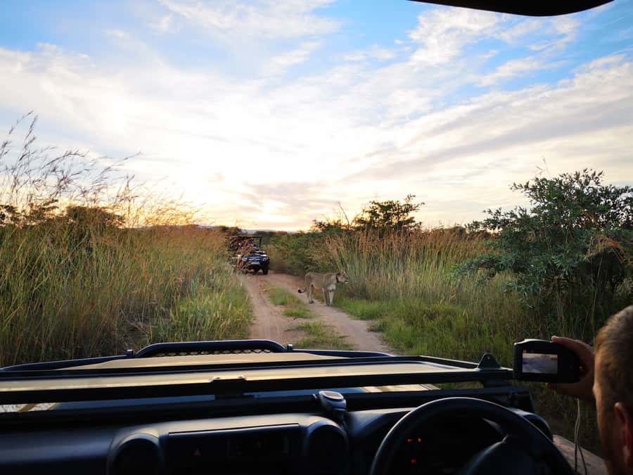 From Durban: Wildlife Lovers Big 5 Safari at 2 Game Reserves - Key points at a glance