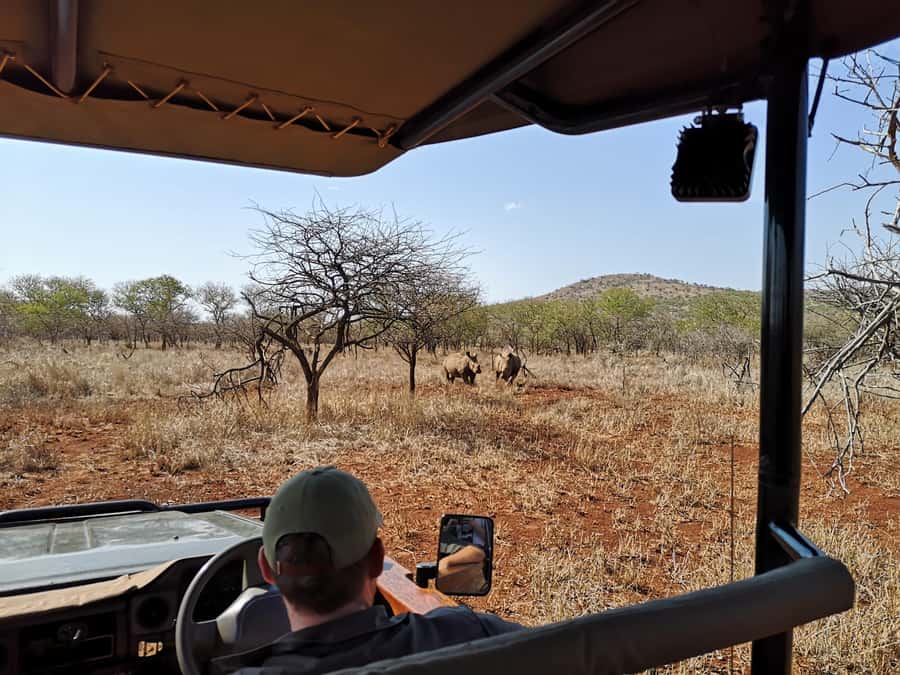 From Durban: Wildlife Lovers Big 5 Safari at 2 Game Reserves - The guides can shape the whole day