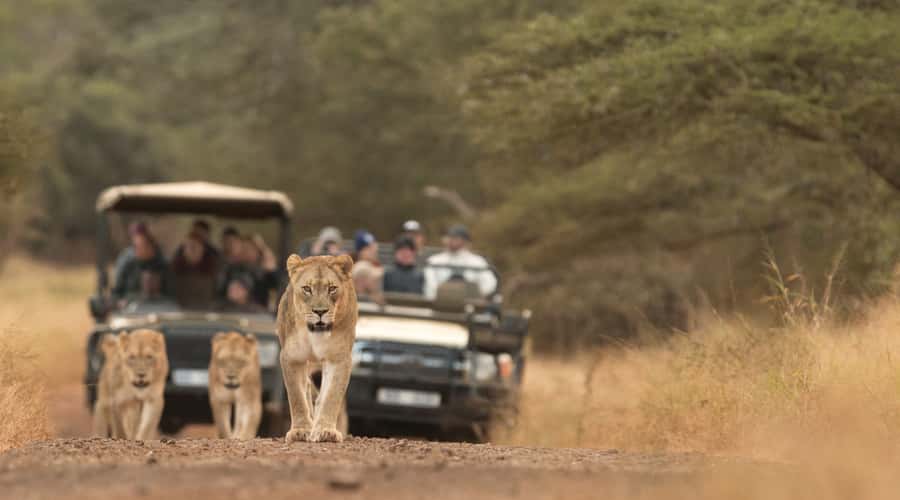 From Durban: Wildlife Lovers Big 5 Safari at 2 Game Reserves - Leaving Durban before sunrise