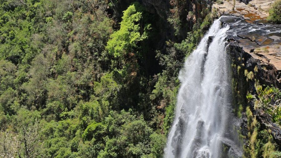 From Hazyview: Blyde River Canyon Highlight & Boat Cruise - Gods Window and the first big view