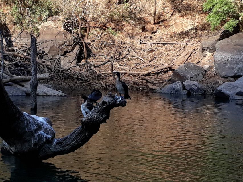 From Hazyview: Blyde River Canyon Highlight & Boat Cruise - Bourkes Luck potholes and the meeting of rivers