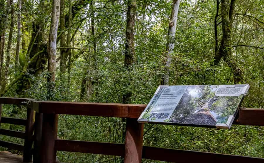 From Hazyview: Full-Day Guided Panorama Tour - Why the Panorama Route works so well from Hazyview
