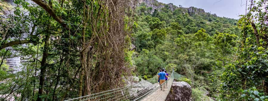 From Hazyview: Full-Day Guided Panorama Tour - Berlin Falls adds one more waterfall before Graskop