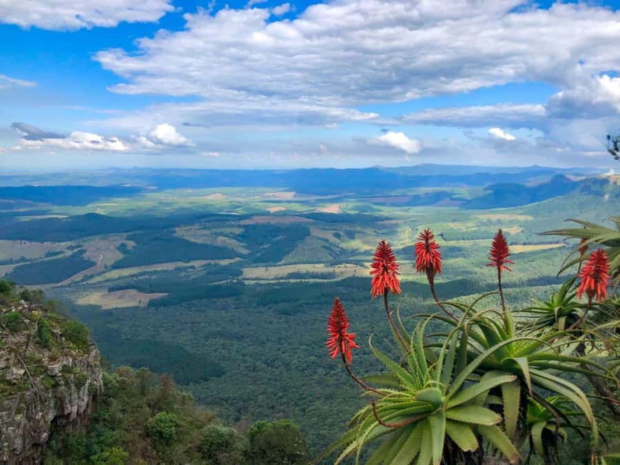 From Hazyview: Full-Day Guided Panorama Tour - What the $149 price really buys you