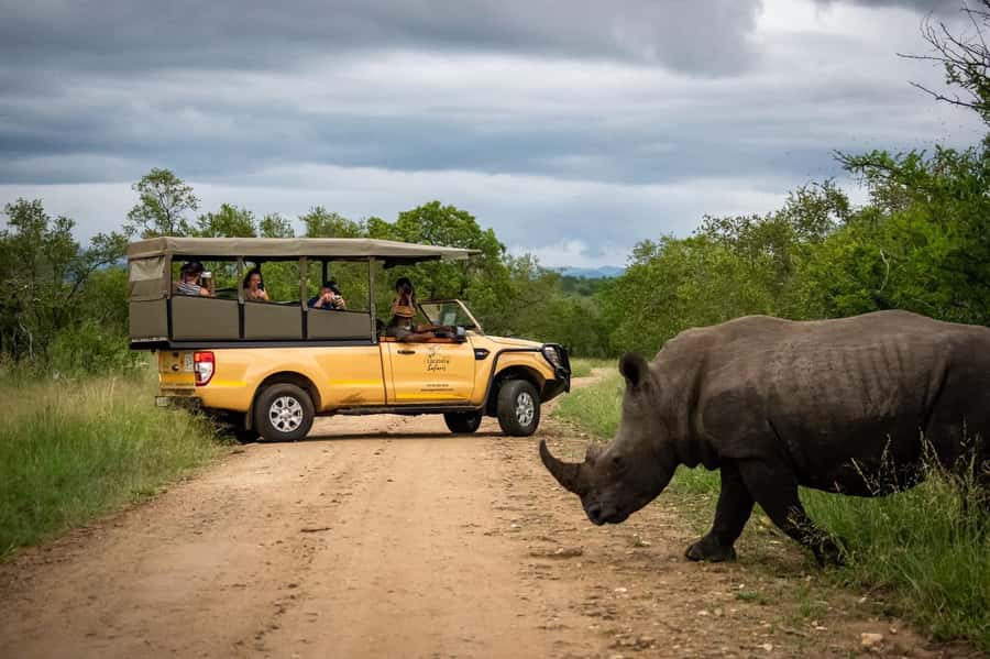 From Hazyview: Kruger National Park Full-Day Safari - Key points to know before booking