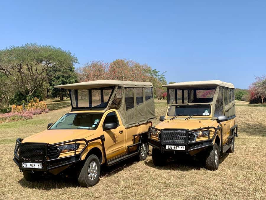 From Hazyview: Kruger National Park Full-Day Safari - What the guide adds to a one-day safari