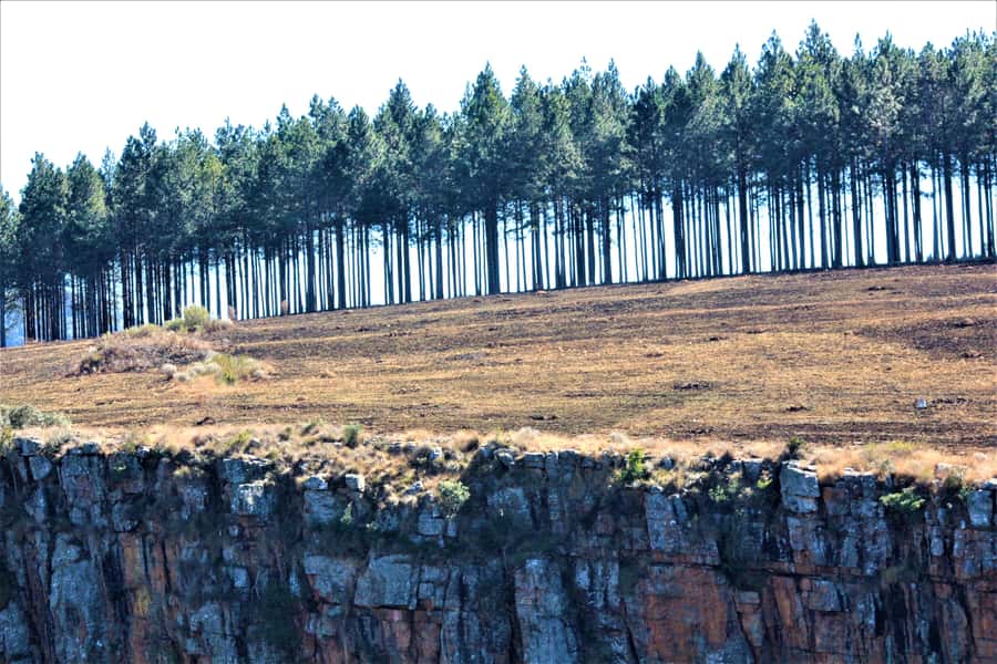 From Hazyview: Panorama Tour Highlights - How the four hours are likely to feel