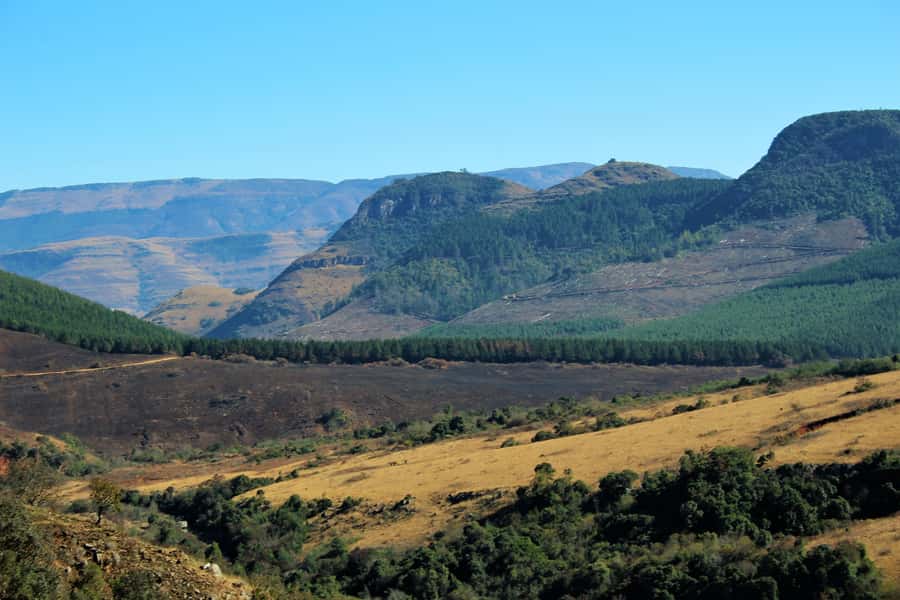From Hazyview: Panorama Tour Highlights - Pinnacle Rock and the southern end of Blyde River Canyon