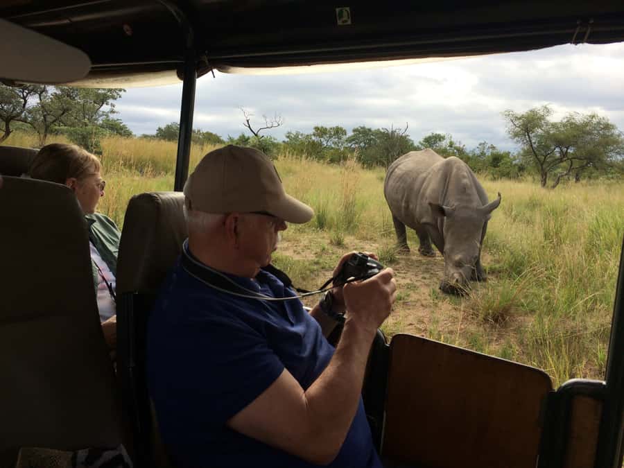 From Hazyview: Private Afternoon Game Drive - Why an Afternoon Drive Works Well From Hazyview