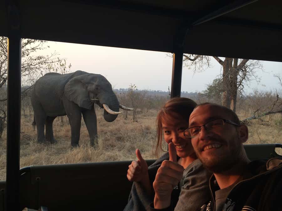 From Hazyview: Private Afternoon Game Drive - The Real Cost: $270 Plus Park Fees
