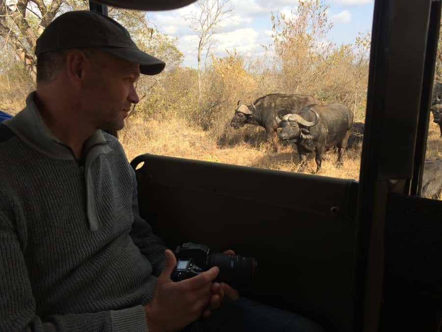 From Hazyview: Private Afternoon Game Drive - What You May See During the Afternoon