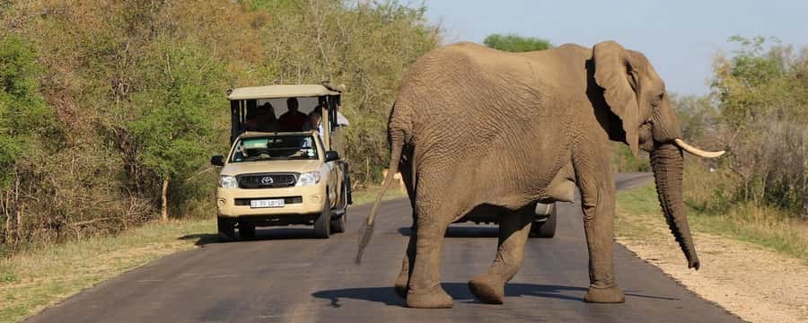 From Hazyview: Private Half-Day Guided Kruger Safari - Leaving Hazyview for Kruger