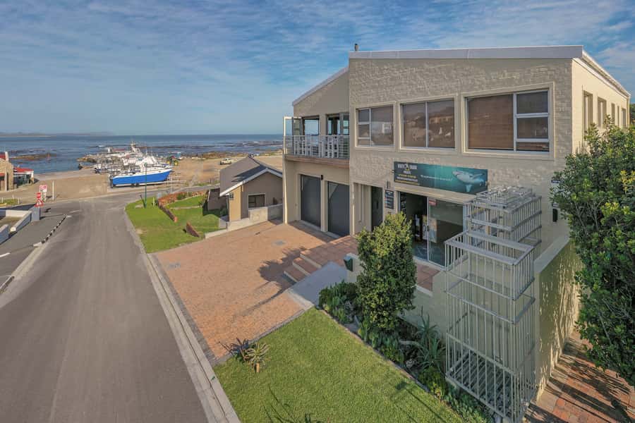 From Hermanus or Cape Town: Shark Cage Diving Experience - From Cape Town or Hermanus to Gansbaai
