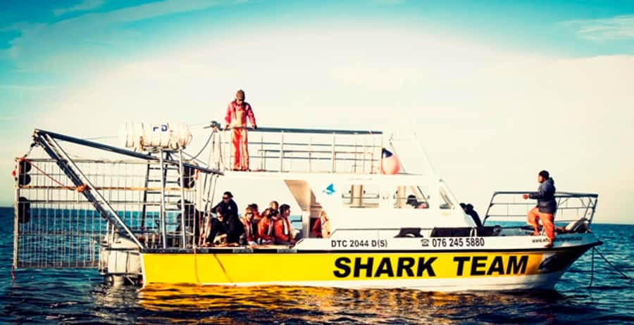 From Hermanus or Cape Town: Shark Cage Diving Experience - Breakfast at the lodge