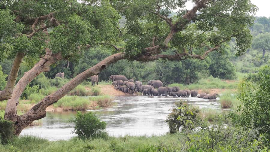 From Johannesburg: 2-Day Safari into Kruger National Park - Small details that will make the trip easier