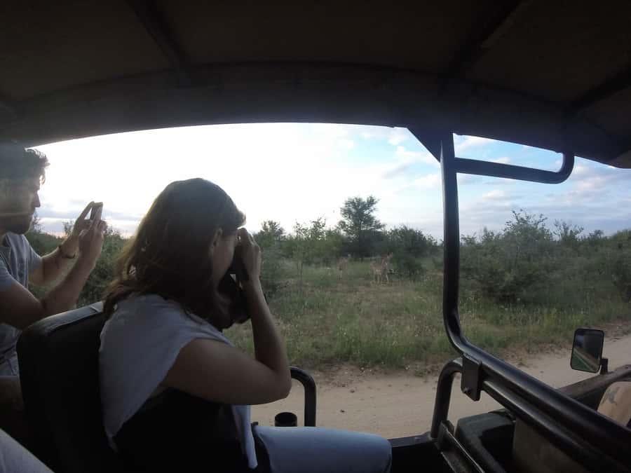From Johannesburg: 3-Day Budget Tent Kruger Park Safari - Key points to know before booking