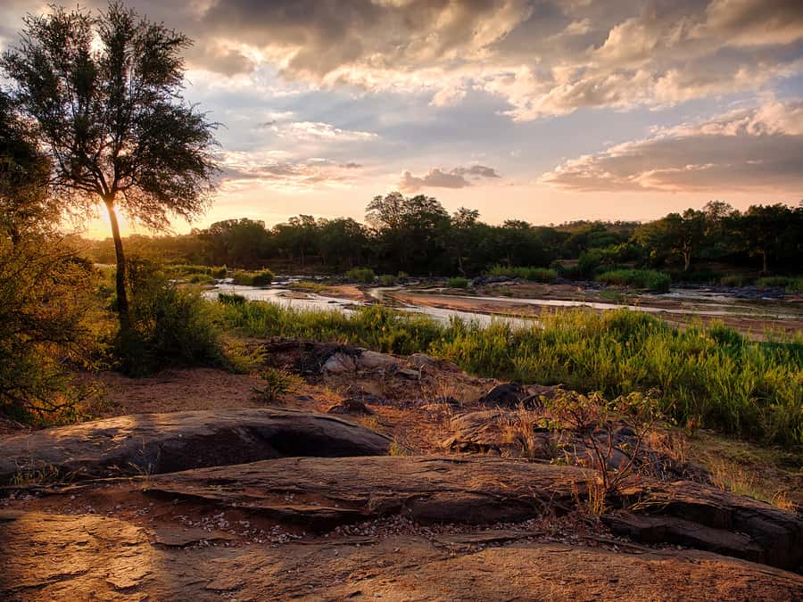 From Johannesburg: 3-Day Budget Tent Kruger Park Safari - What this three-day safari really offers