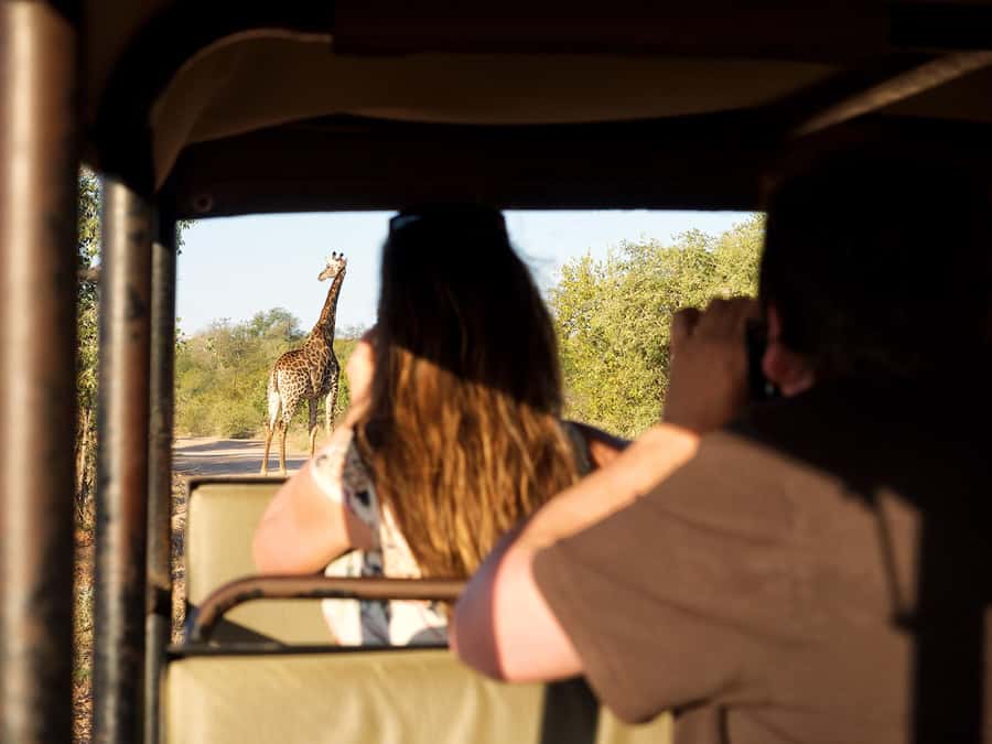 From Johannesburg: 3-Day Budget Tent Kruger Park Safari - The Balule sunset drive and first night