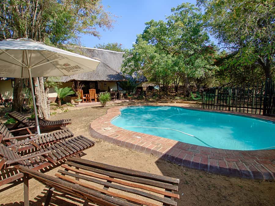 From Johannesburg: 3-Day Budget Tent Kruger Park Safari - The morning walk at Marc’s Camp
