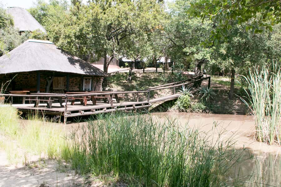 From Johannesburg: 3-Day Budget Tent Kruger Park Safari - Tents, meals, and what is included