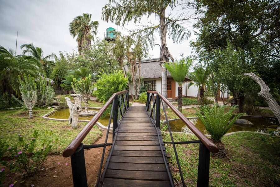 From Johannesburg: 6-Day Classic Kruger National Park Safari - Who should book this safari