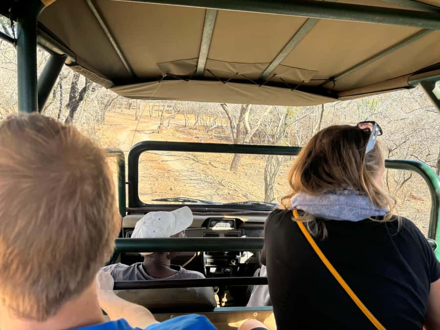 From Johannesburg: Cheetah Tour - What the Conservation Setting Adds