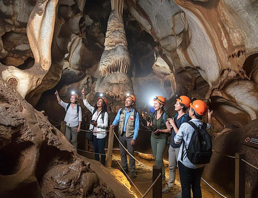 From Johannesburg: Cradle of Humankind and Lion Safari - Why this combination works so well