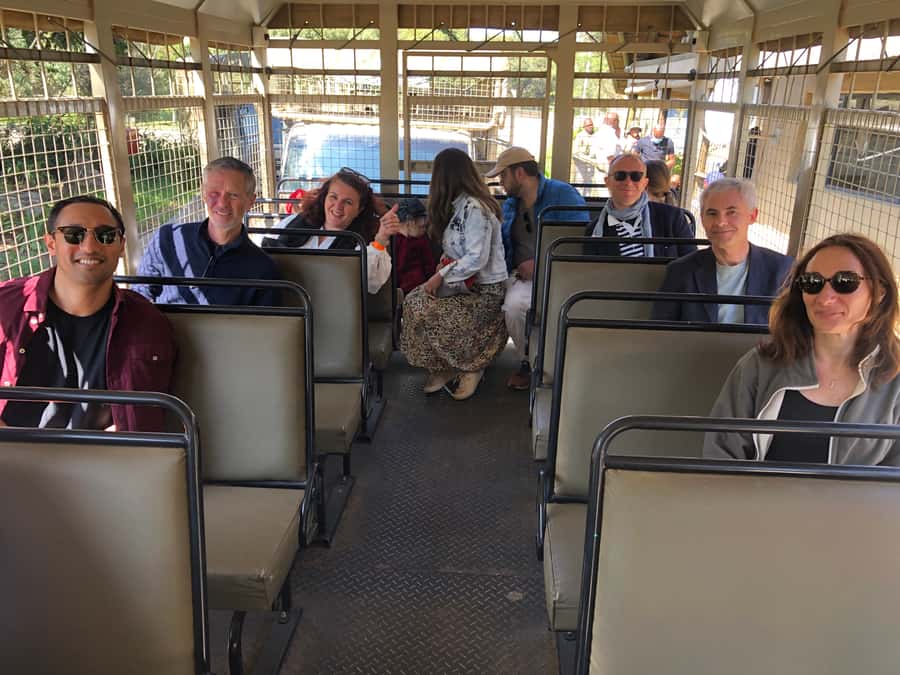 From Johannesburg: Cradle of Humankind and Lion Safari - A short break at the Five Dome shopping center