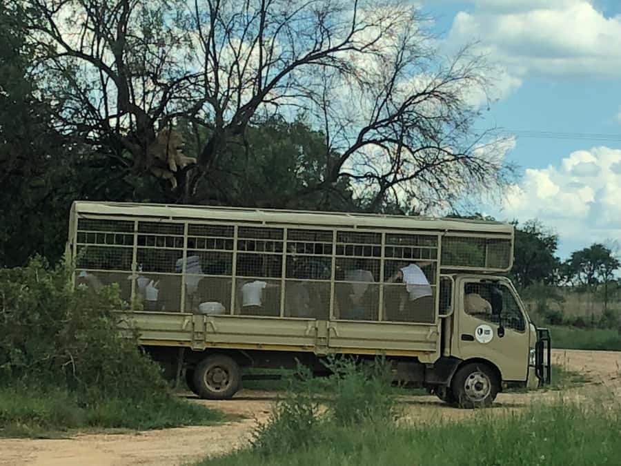 From Johannesburg: Cradle of Humankind and Lion Safari - Going underground at Sterkfontein