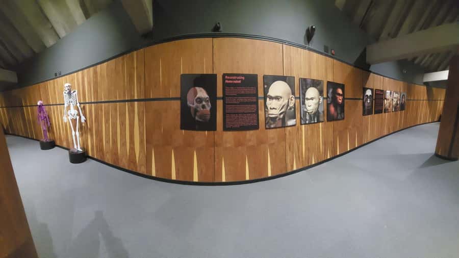 From Johannesburg: Cradle of Humankind Private Half-Day Tour - Key points to know before booking
