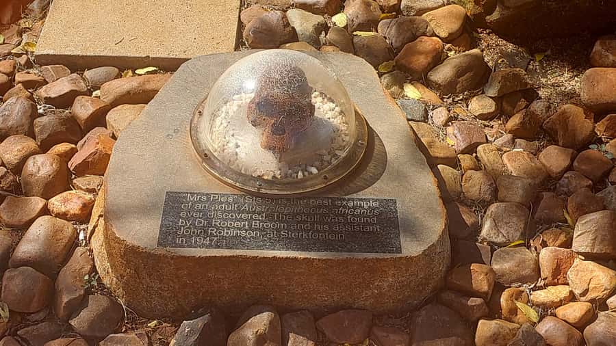 From Johannesburg: Cradle of Humankind Private Half-Day Tour - Maropeng Visitor Centre: the best place to get the big picture
