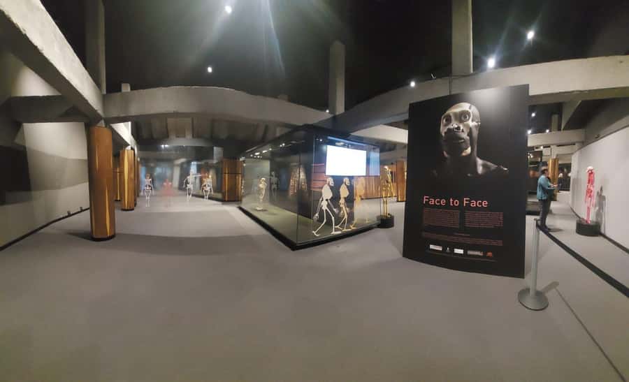 From Johannesburg: Cradle of Humankind Private Half-Day Tour - Who should book this tour?