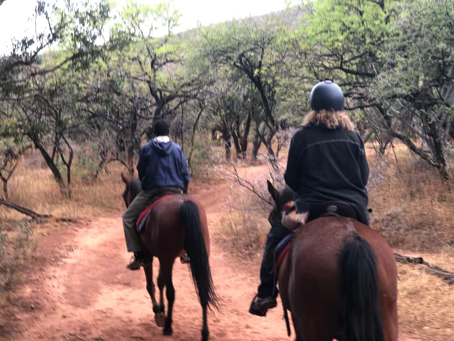 From Johannesburg: Horse-Riding Safari and Cable Car Tour - The final call