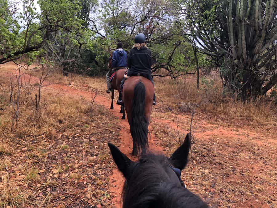 From Johannesburg: Horse-Riding Safari and Cable Car Tour - Views from the Magaliesberg mountains
