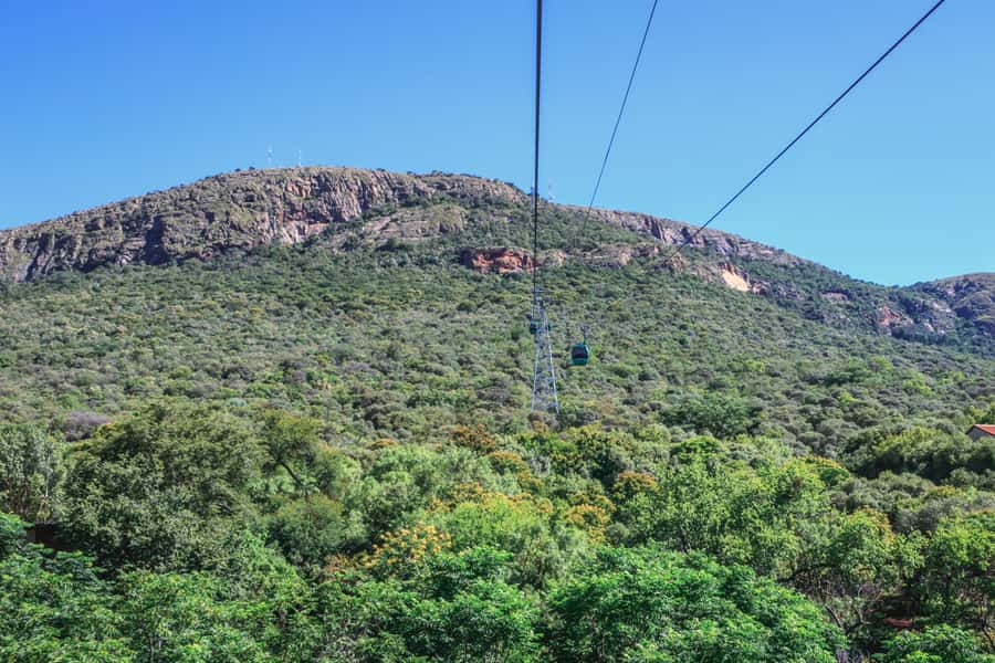 From Johannesburg: Horse-Riding Safari and Cable Car Tour - Is $242 a fair price?