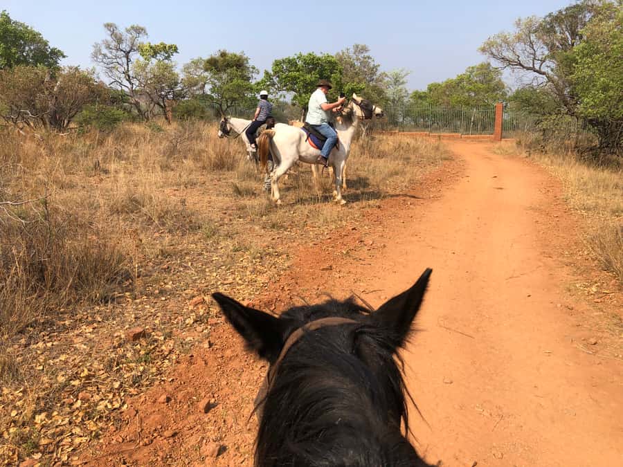 From Johannesburg: Horse-Riding Safari and Cable Car Tour - Practical advice for a smoother day