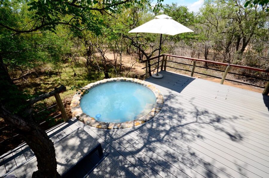 From Johannesburg: Kruger National Park 4-Day Luxury Safari - Day 2: A four-hour walk beside the Olifants River
