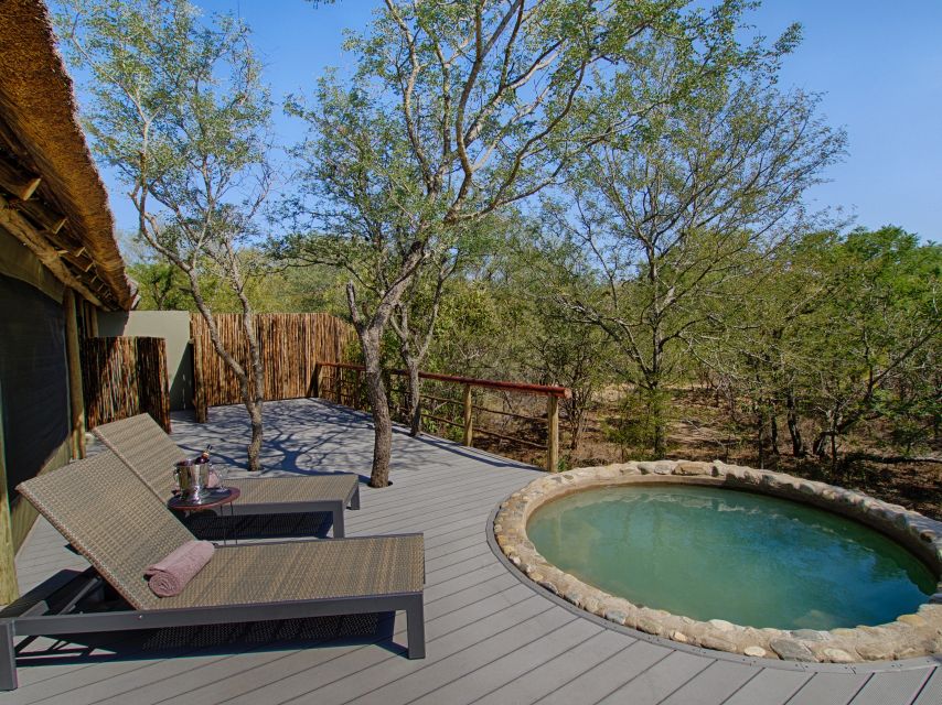 From Johannesburg: Kruger National Park 4-Day Luxury Safari - Day 3: A full day inside Kruger National Park
