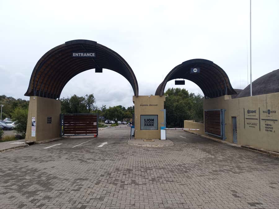 From Johannesburg: Lesedi Cultural Village & Lion Park Tour - Key points at a glance