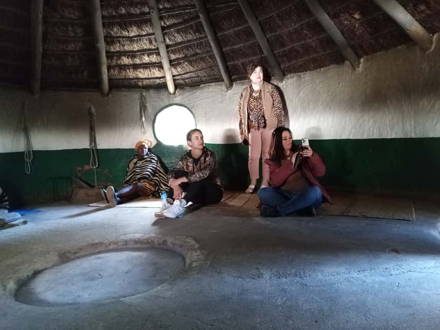 From Johannesburg: Lesedi Cultural Village & Lion Park Tour - Lesedi Cultural Village: culture through music, food, and movement